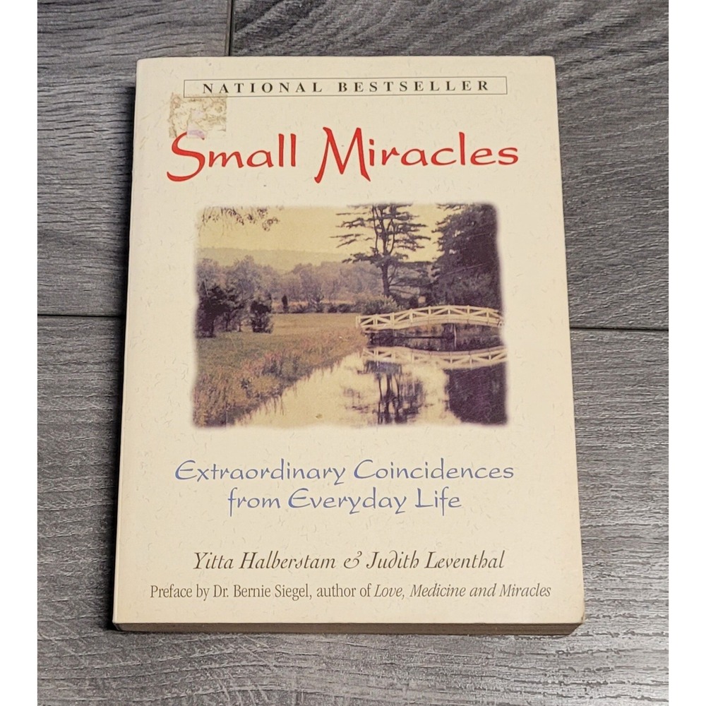 Small Miracles : Extraordinary Coincidences Halberstam & Leventhal (Paperback)